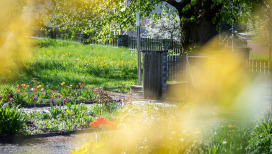 Vorgarten Villa Palottis