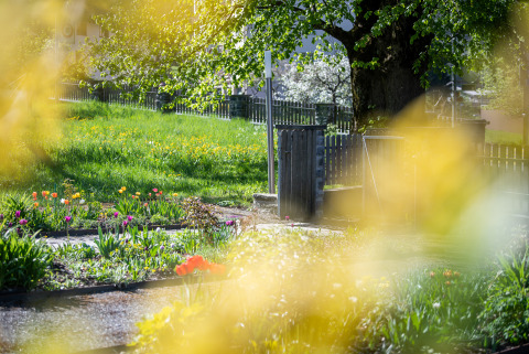 Vorgarten Villa Palottis